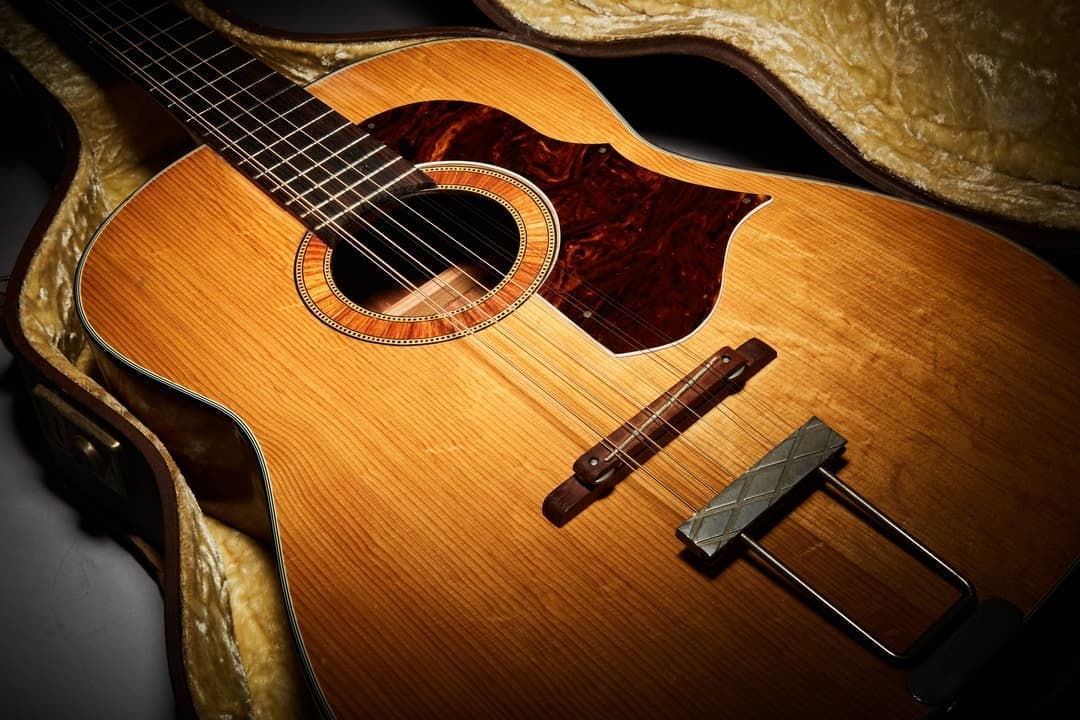 a close up of an acoustic guitar in a case .